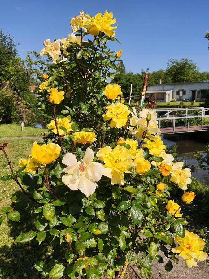 Le Cottage Des Hortillonnages Amiens Dış mekan fotoğraf
