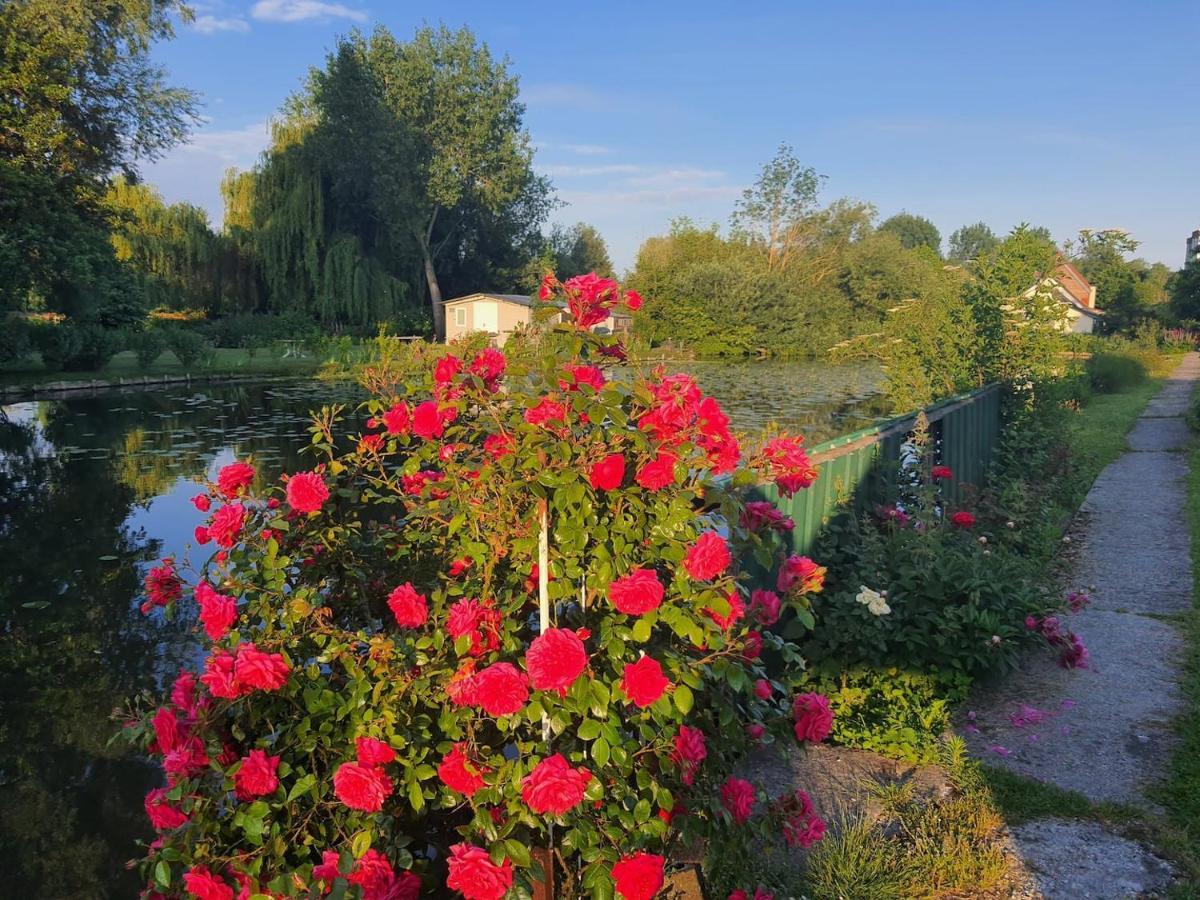 Le Cottage Des Hortillonnages Amiens Dış mekan fotoğraf